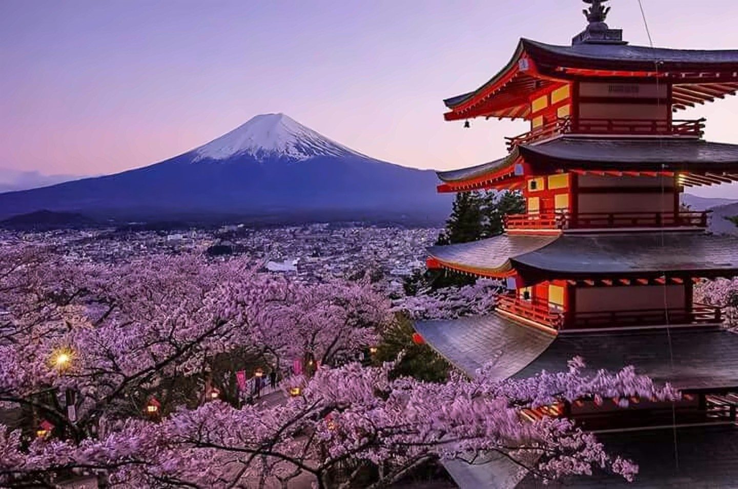 Le mont Fuji au crépuscule, au-dessus d’une ville couverte de cerisiers en fleurs