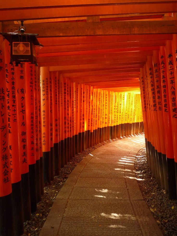 Tunnel de torii rouges du sanctuaire Fushimi Inari, à Kyoto