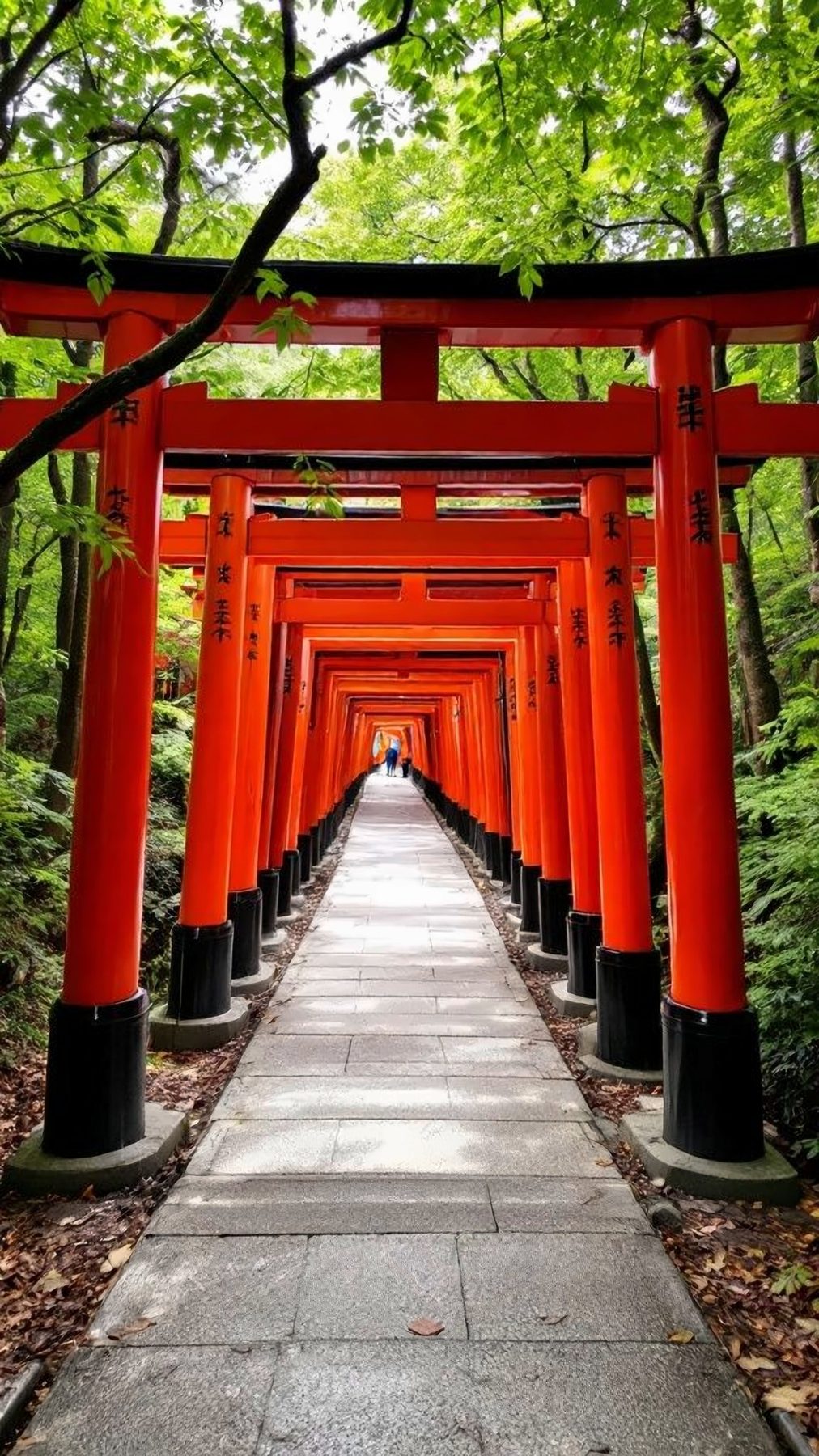 Allée de torii rouges dans la forêt, à Kyoto